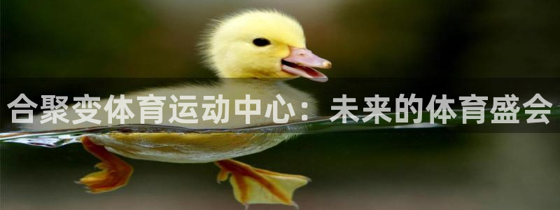 菲律宾ug环球官网：合聚变体育运动中心：未来的体育盛会