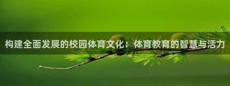 ug环球官网注册：构建全面发展的校园体育文化：体育教育的智慧与活力
