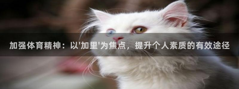 ug环球官网：加强体育精神：以\'加里\'为焦点，提升个人素质的有效途径