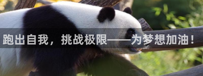 ug环球官网：跑出自我，挑战极限——为梦想加油！