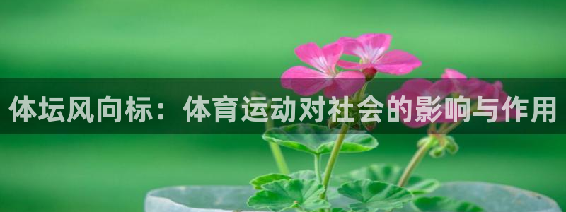 ug环球官网登录入口：体坛风向标：体育运动对社会的影响与作用